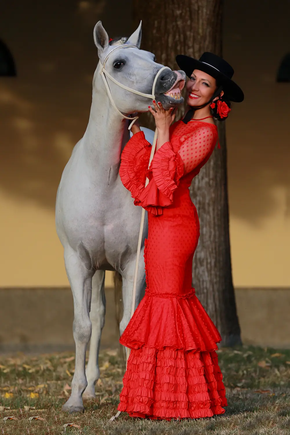 Laura Magic ​Horse S​how gallery 2-19