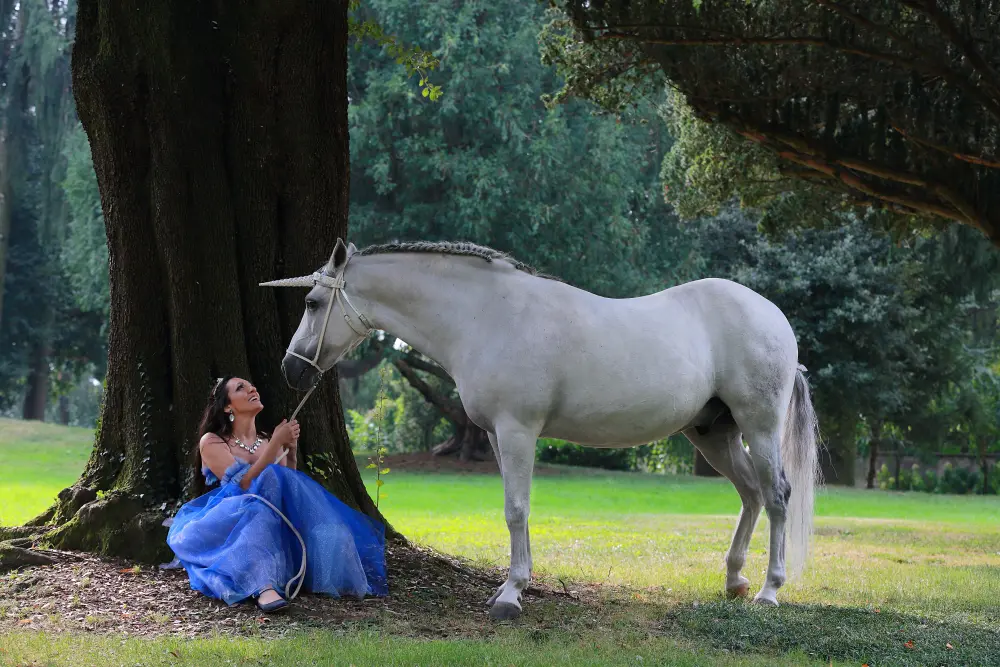 Laura Magic ​Horse S​how gallery 17