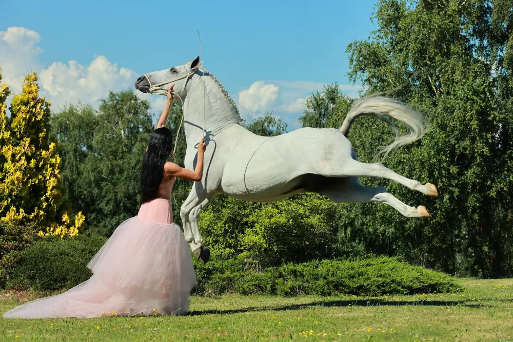 Laura Magic ​Horse S​how gallery 19