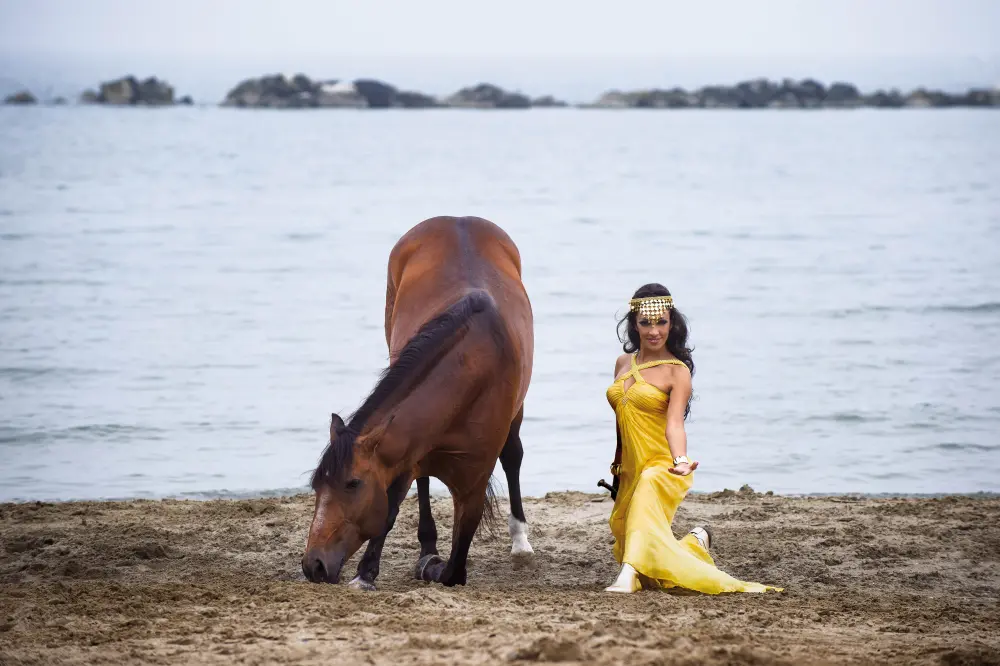 Laura Magic ​Horse S​how gallery 16
