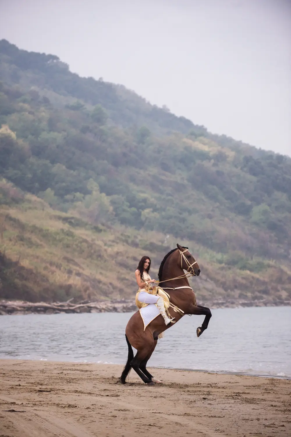 Laura Magic ​Horse S​how gallery 2-6