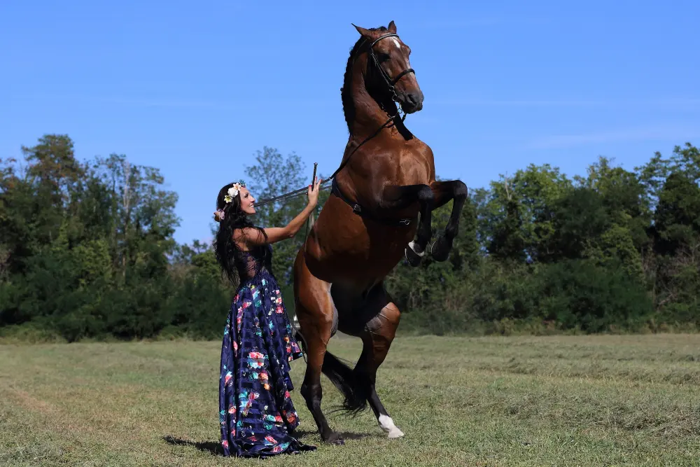 Laura Magic ​Horse S​how gallery 10