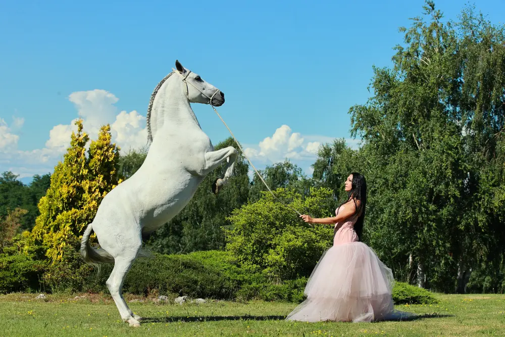Laura Magic ​Horse S​how gallery 9