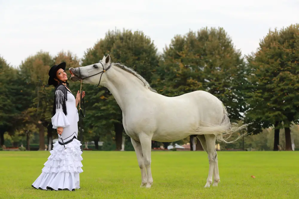 Laura Magic ​Horse S​how gallery 6