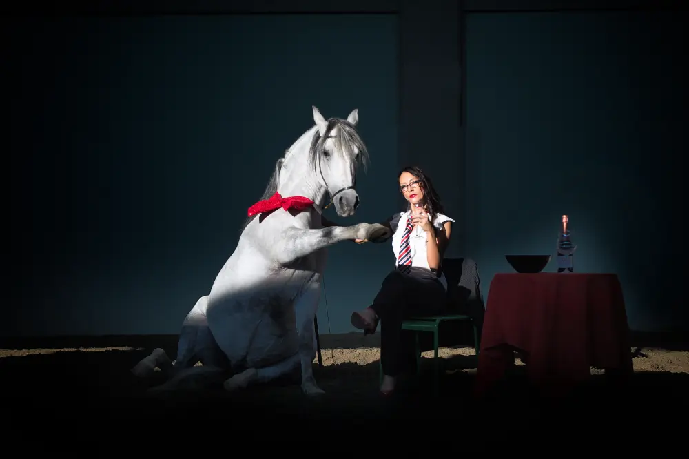 Laura Magic ​Horse S​how gallery 8