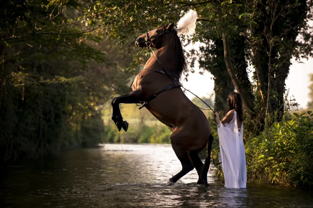 Laura Magic ​Horse S​how gallery 3