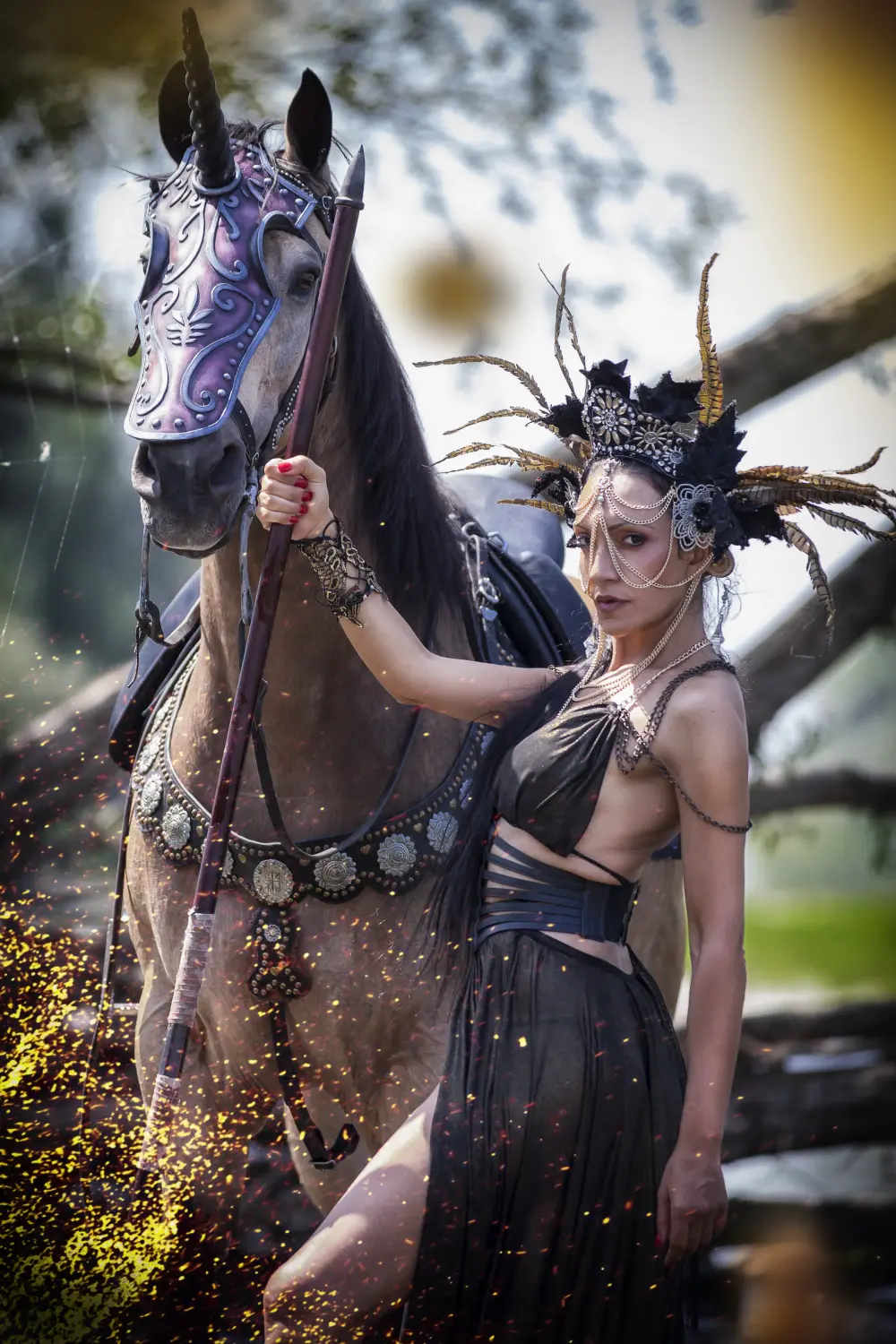 Laura Magic ​Horse S​how gallery 2-24