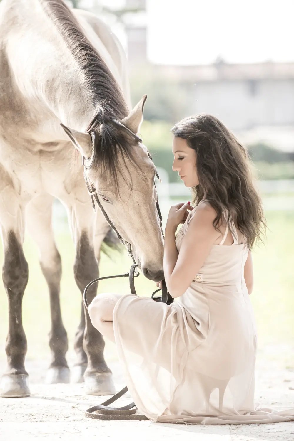 Laura Magic ​Horse S​how gallery 2-18