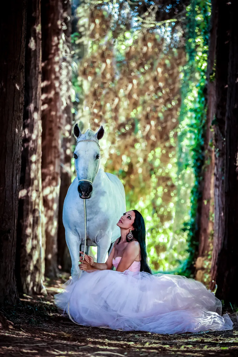 Laura Magic ​Horse S​how gallery 2-17