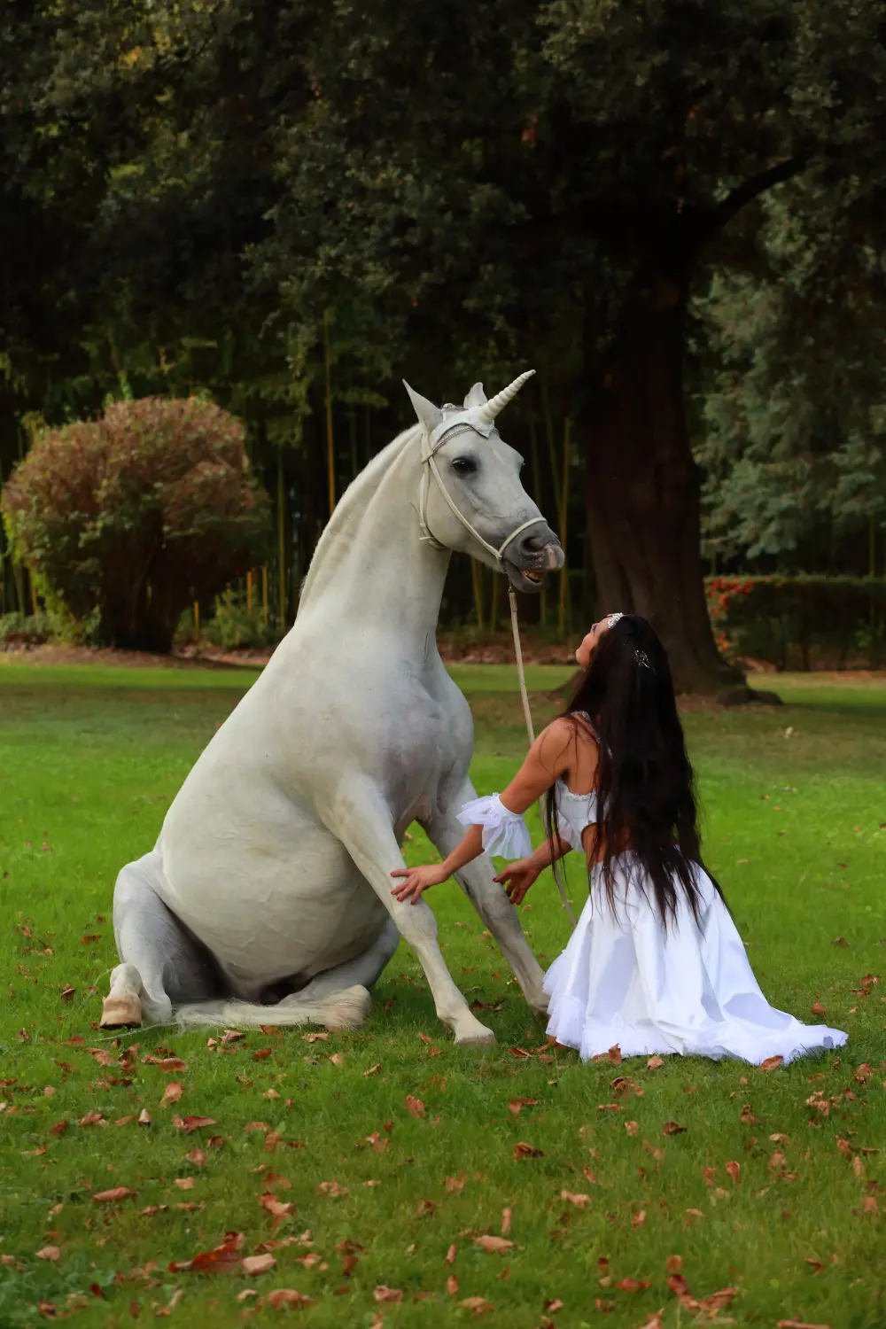 Laura Magic ​Horse S​how gallery 2-11