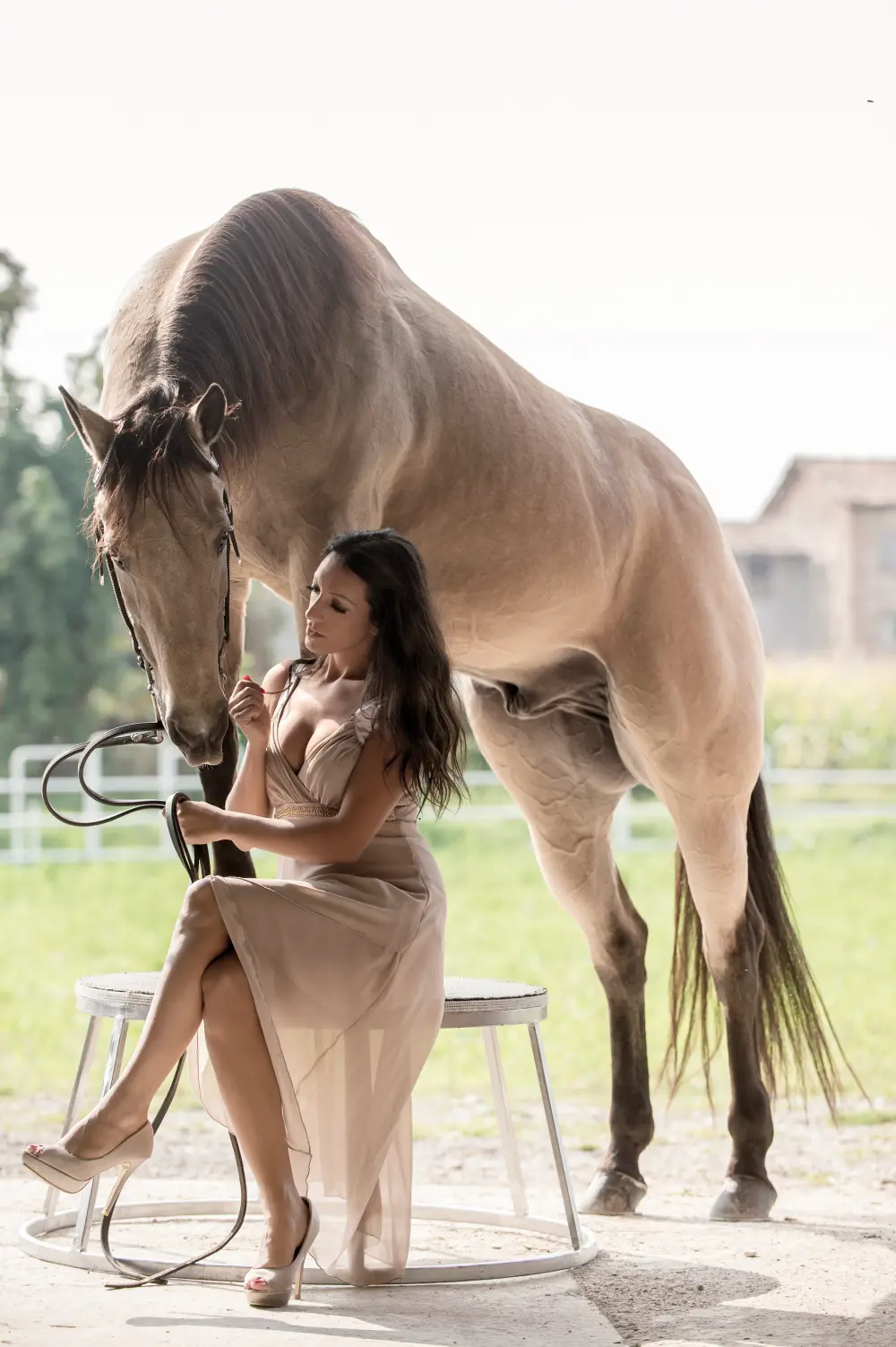 Laura Magic ​Horse S​how gallery 2-13