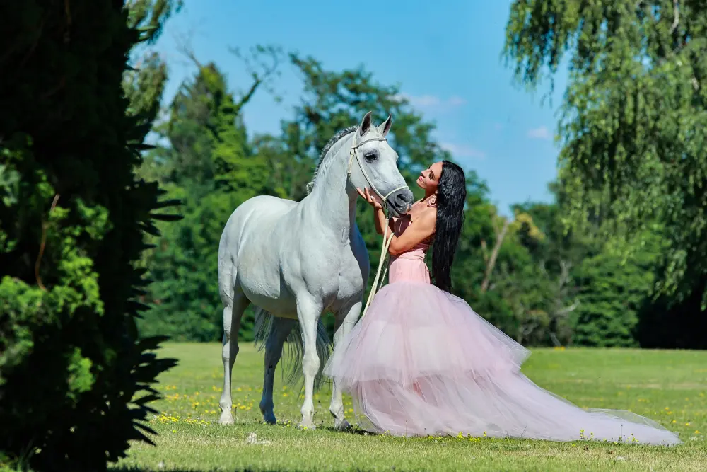 Laura Magic ​Horse S​how gallery 30