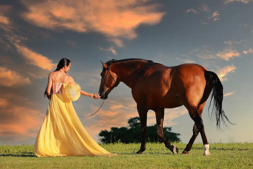 Laura Magic ​Horse S​how gallery 31