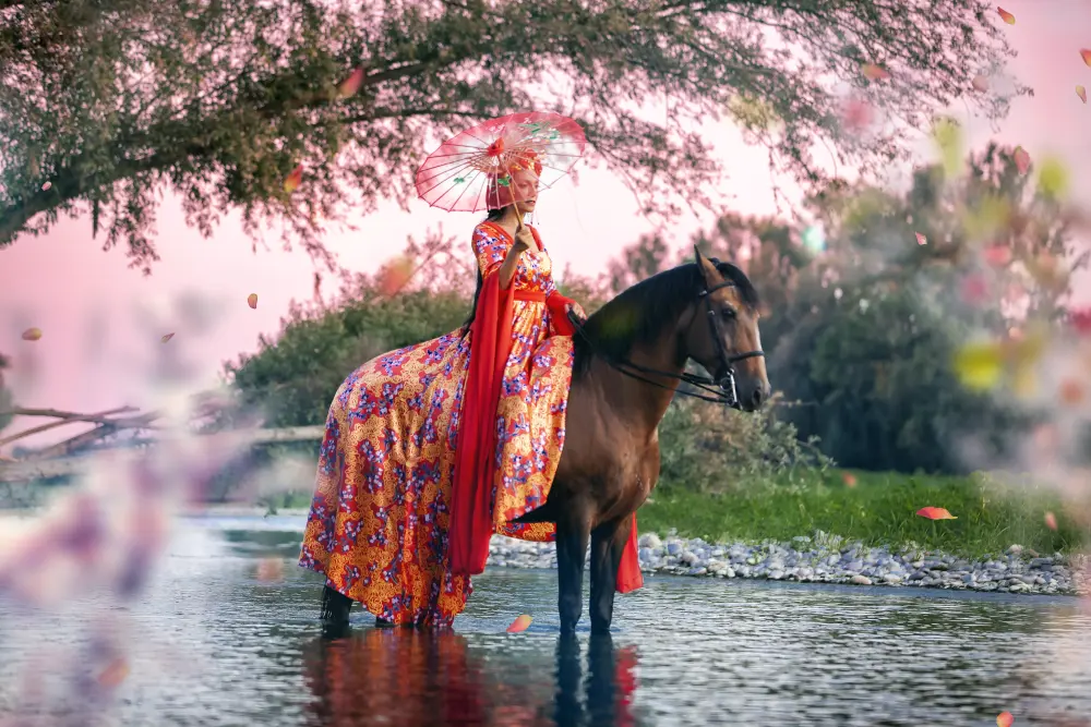 Laura Magic ​Horse S​how gallery 22
