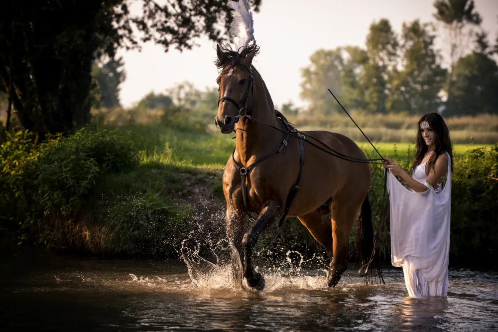 Laura Magic ​Horse S​how gallery 28
