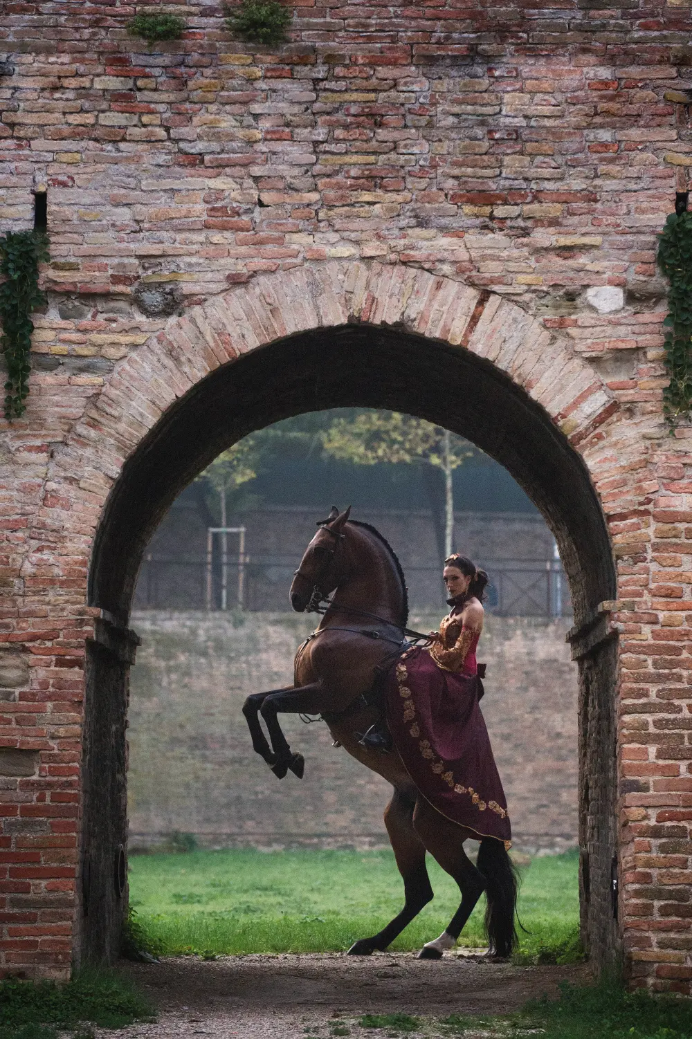 Laura Magic ​Horse S​how gallery 2-9