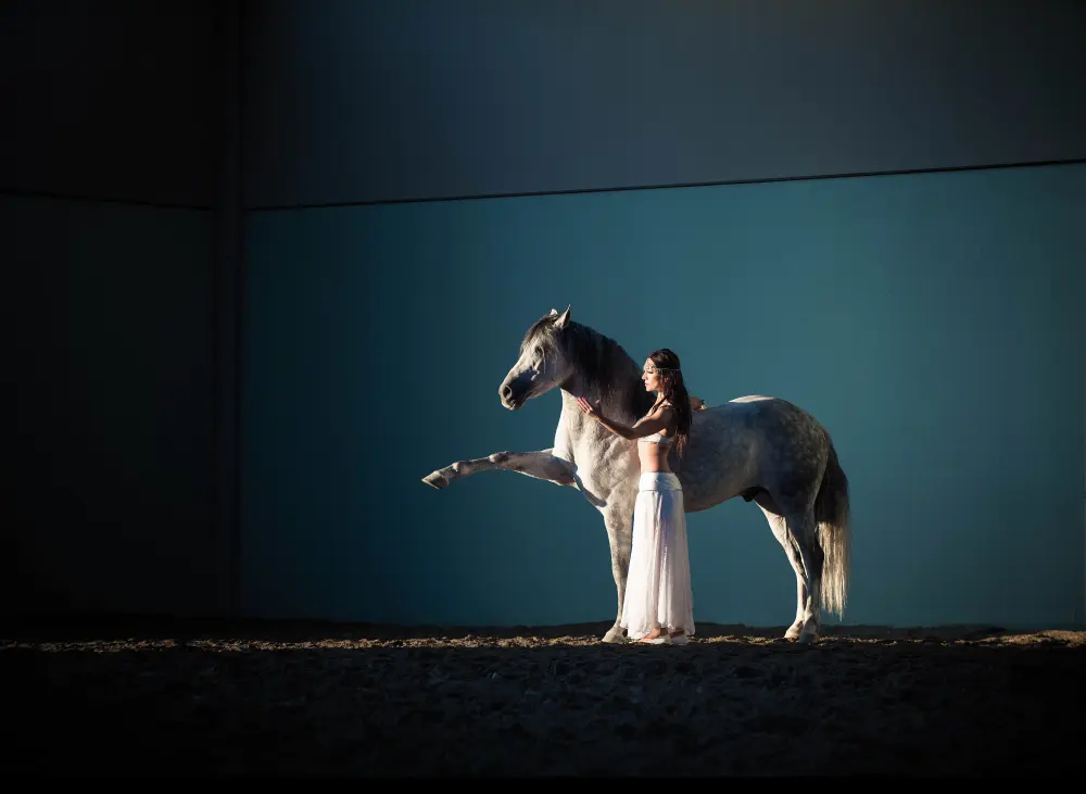 Laura Magic ​Horse S​how gallery 24