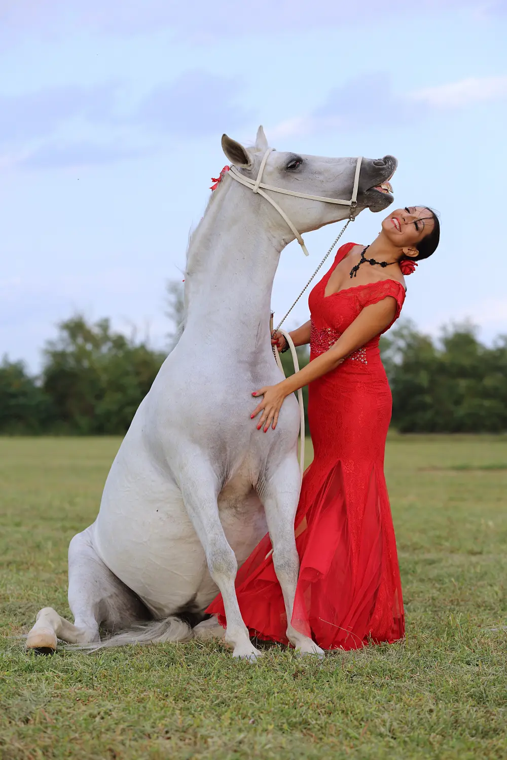 Laura Magic ​Horse S​how gallery 2-8