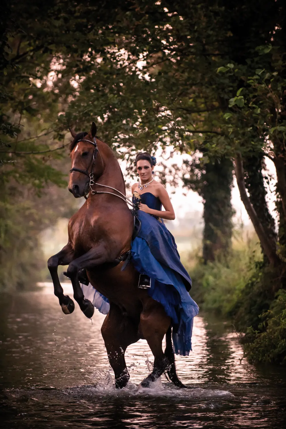 Laura Magic ​Horse S​how gallery 2-7