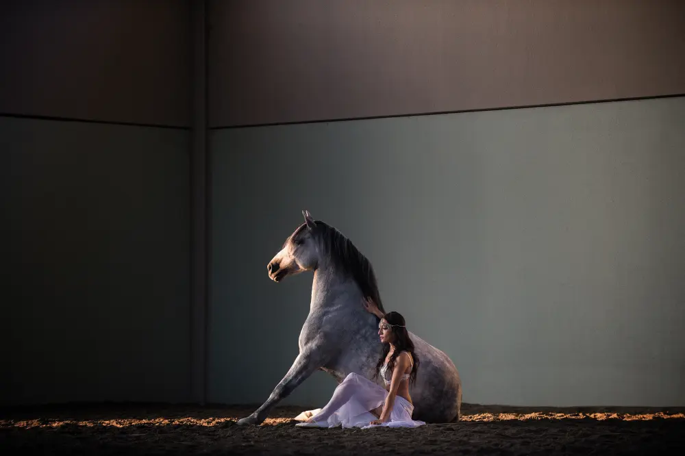 Laura Magic ​Horse S​how gallery 21