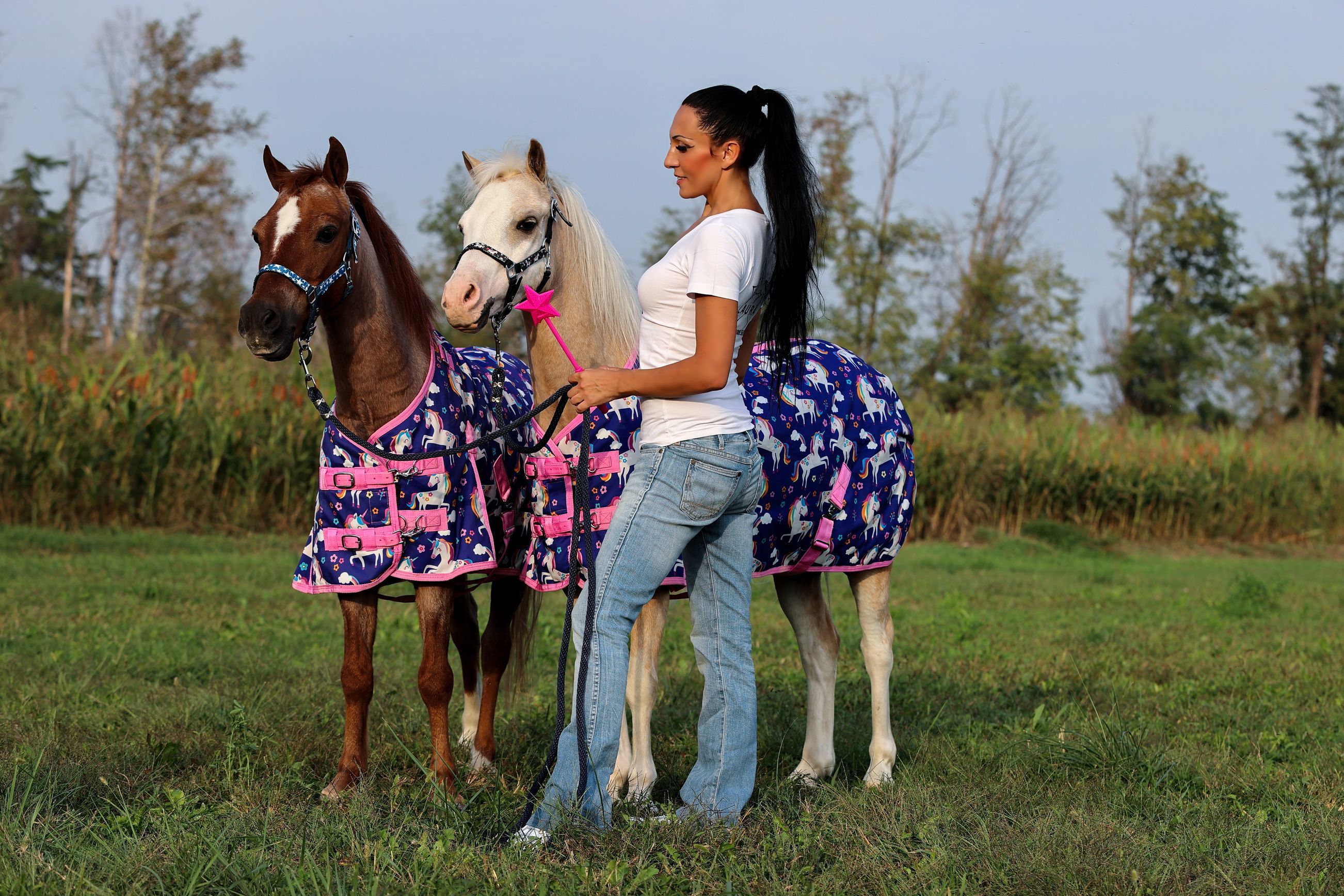 Laura Magic ​Horse S​how gallery 6
