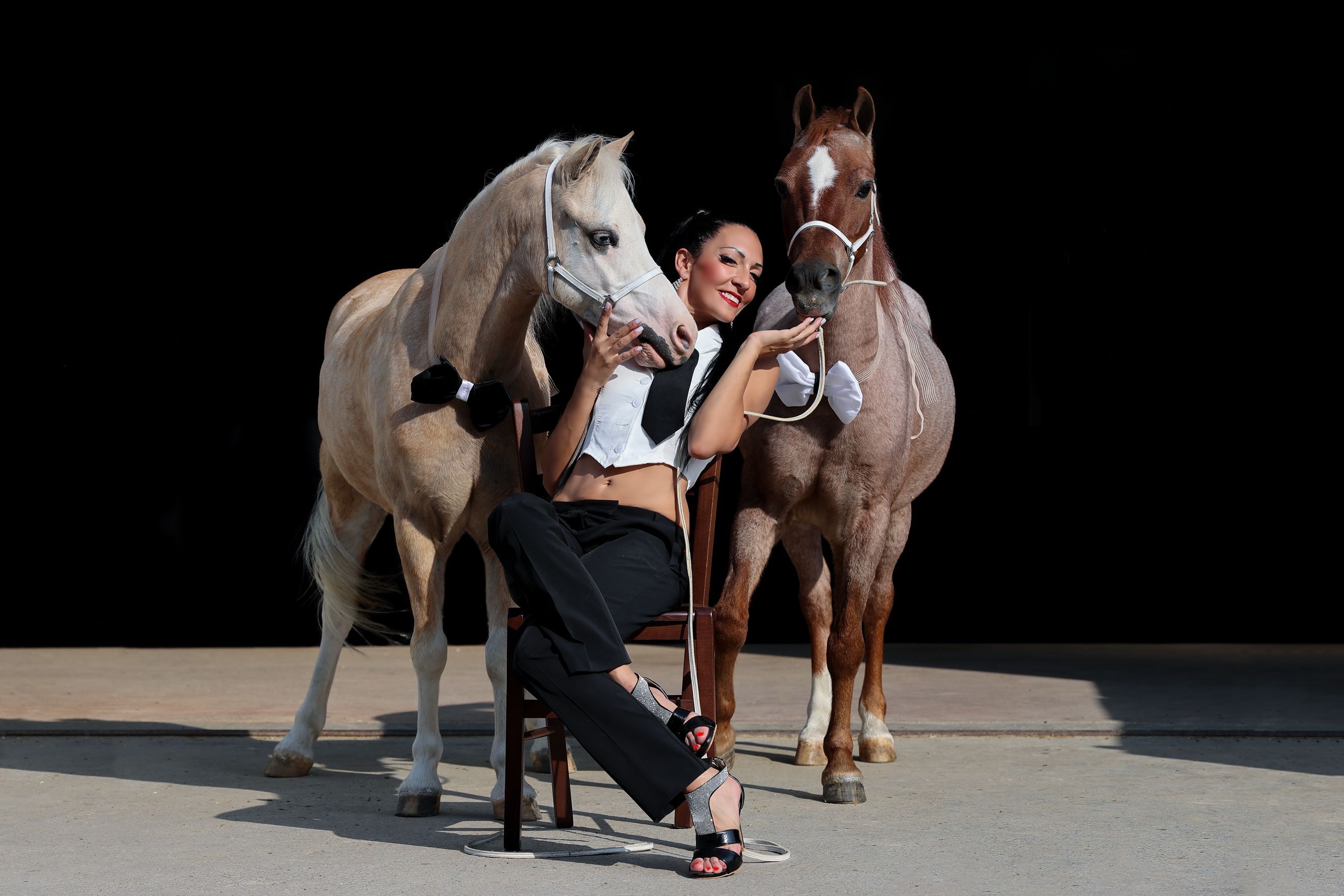 Laura Magic ​Horse S​how gallery 12