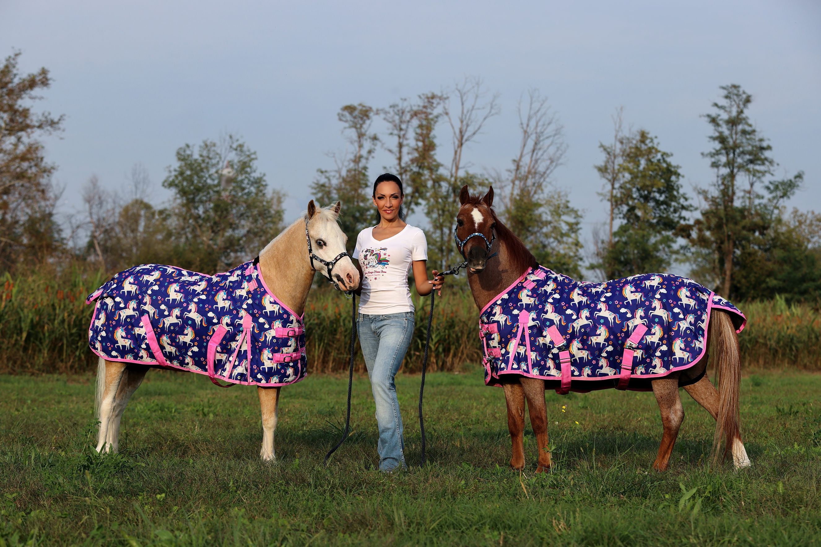 Laura Magic ​Horse S​how gallery 3