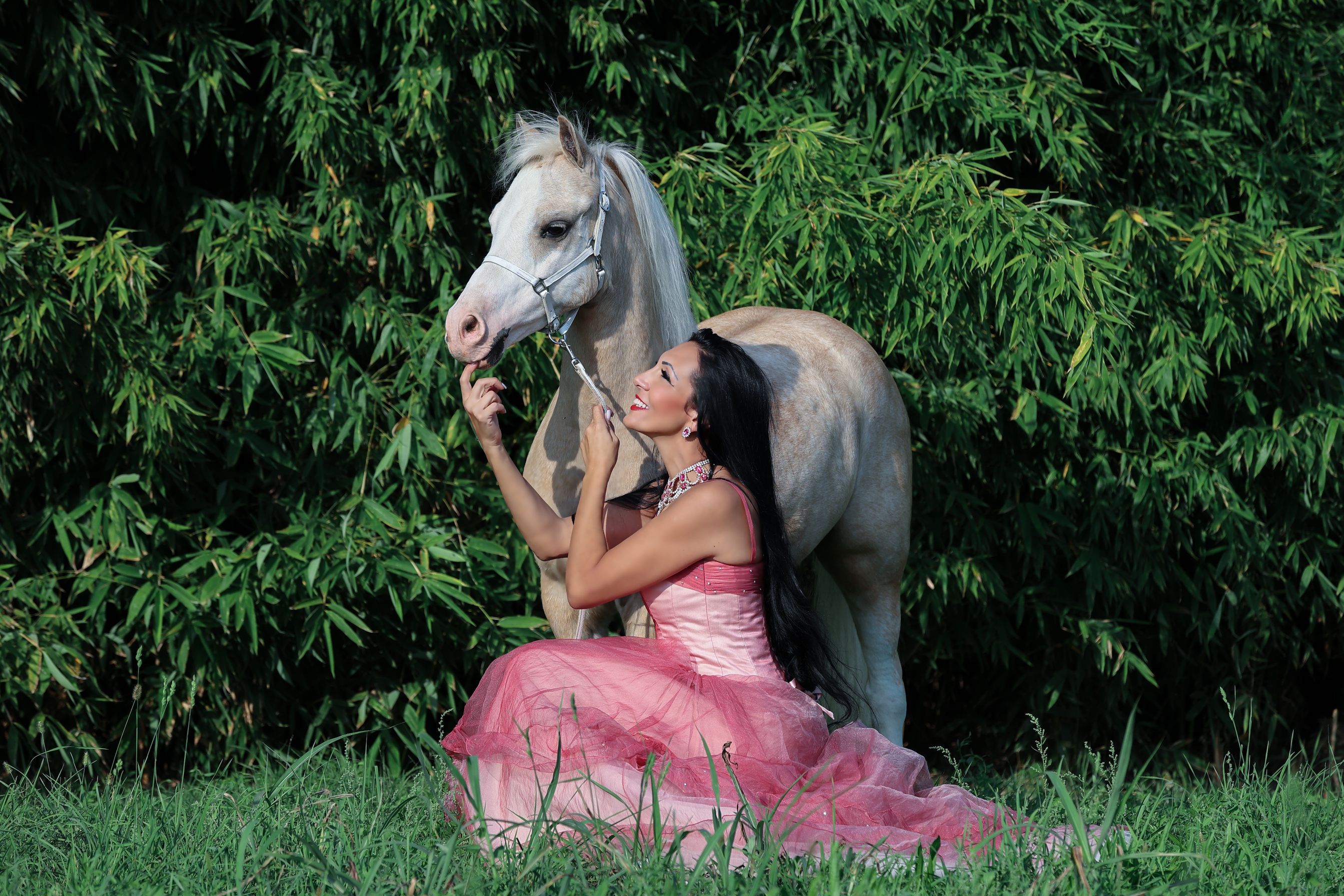 Laura Magic ​Horse S​how gallery 25