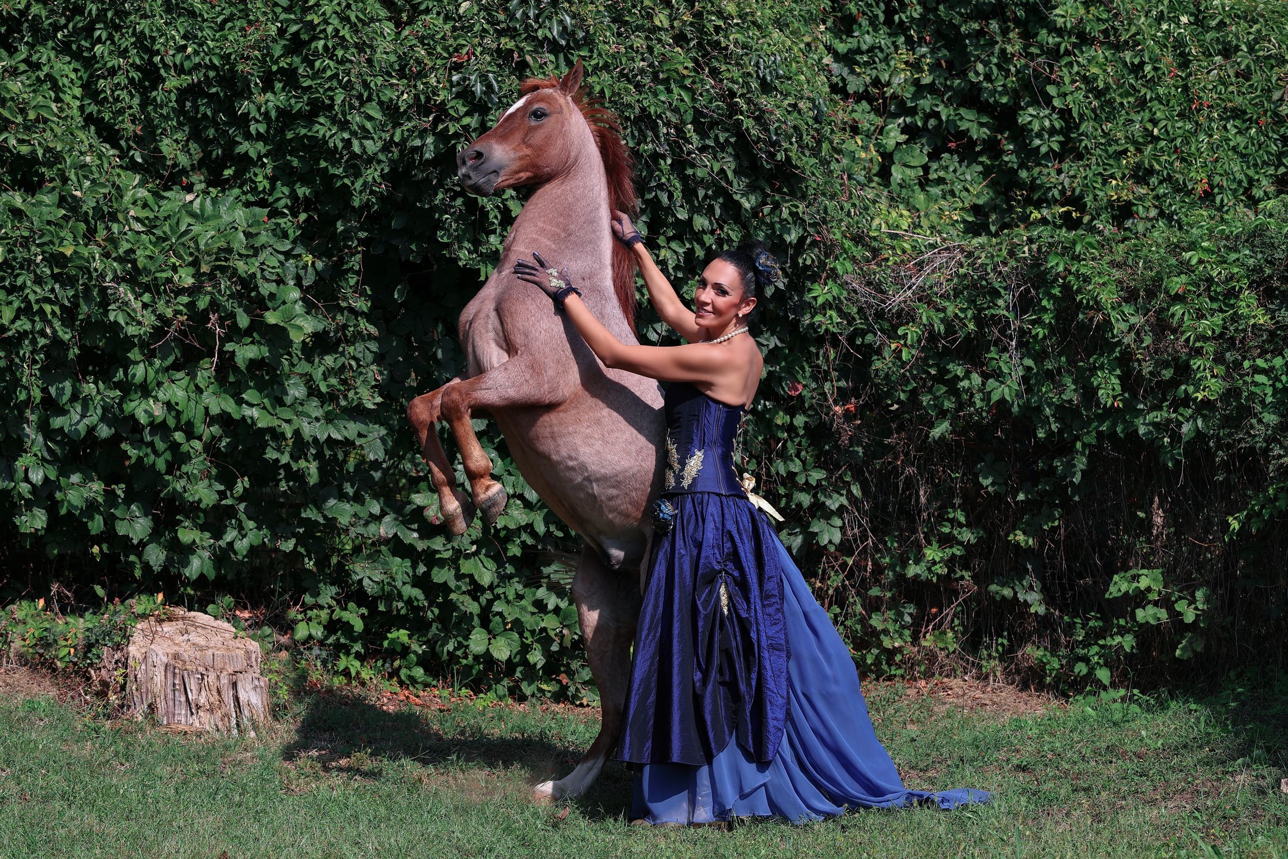 Laura Magic ​Horse S​how gallery 26