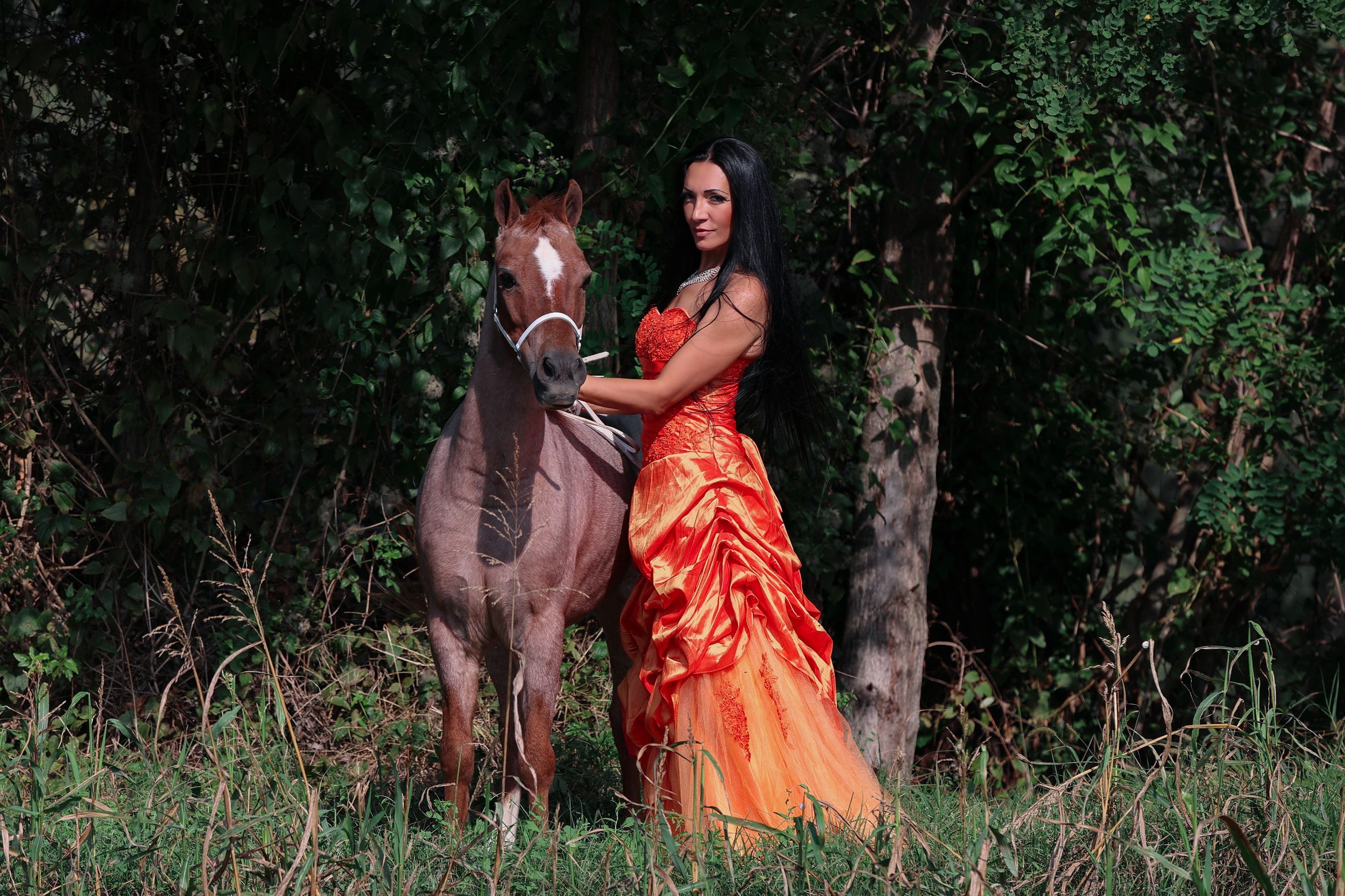 Laura Magic ​Horse S​how gallery 4