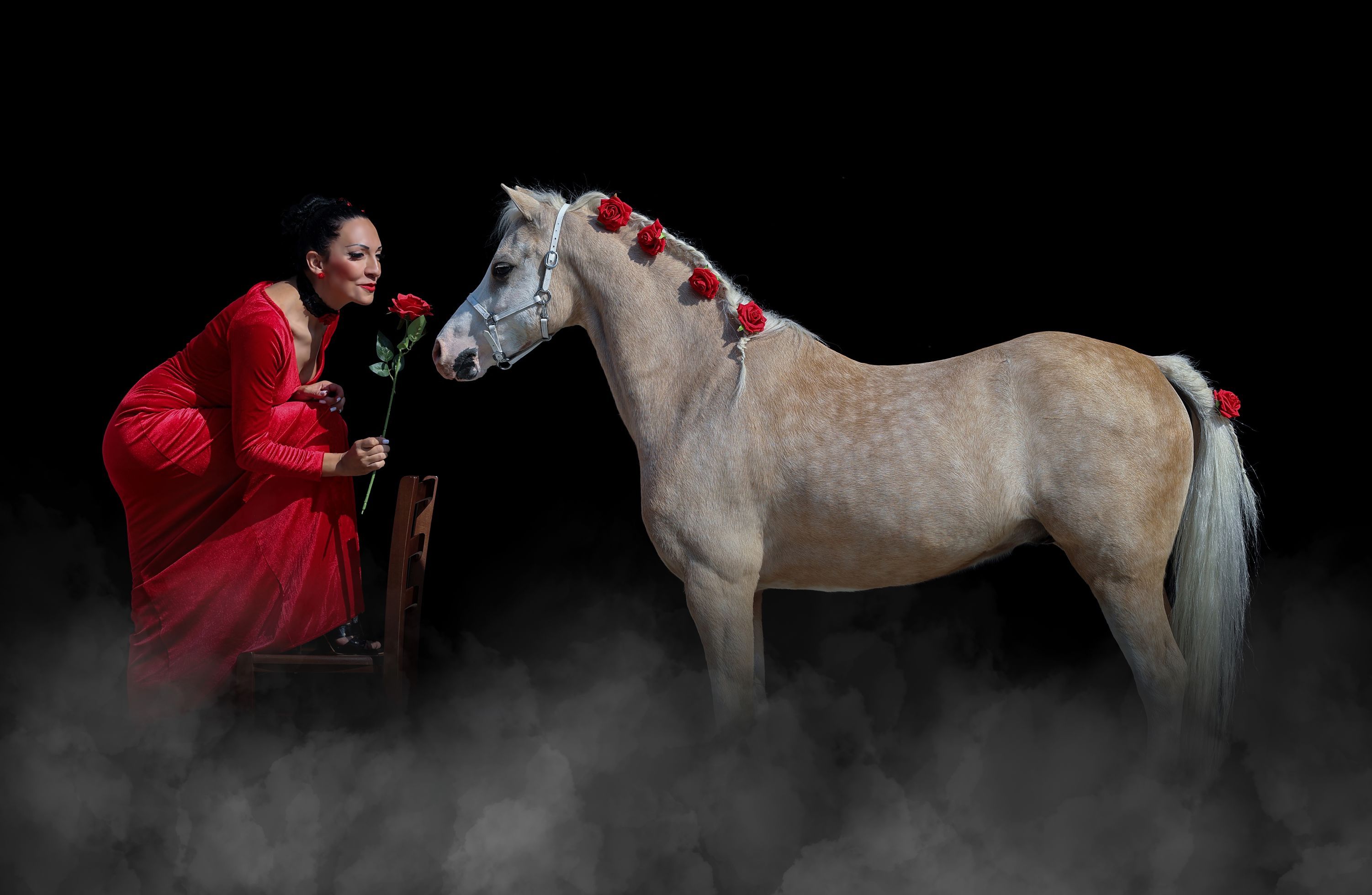 Laura Magic ​Horse S​how gallery 28