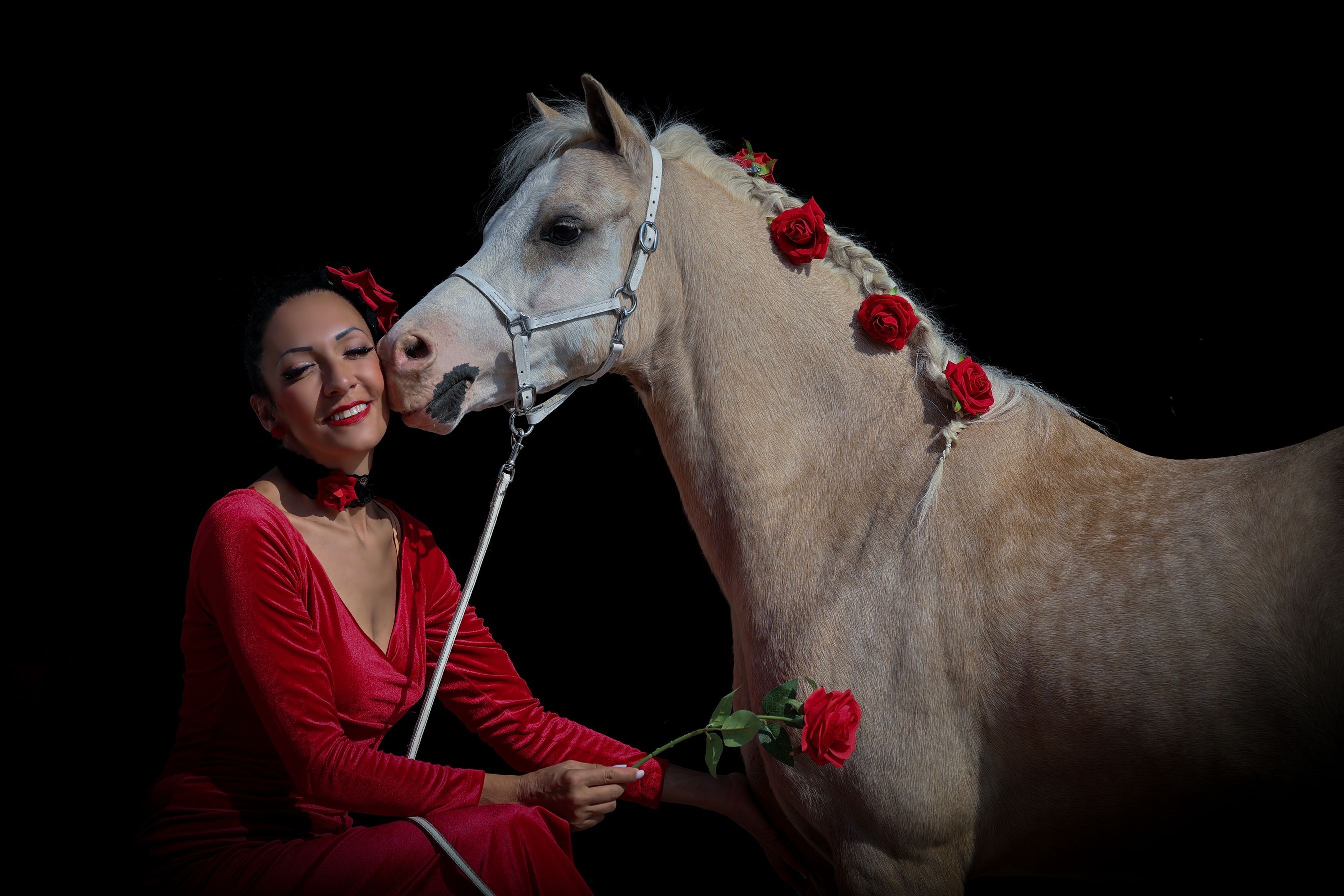 Laura Magic ​Horse S​how gallery 29