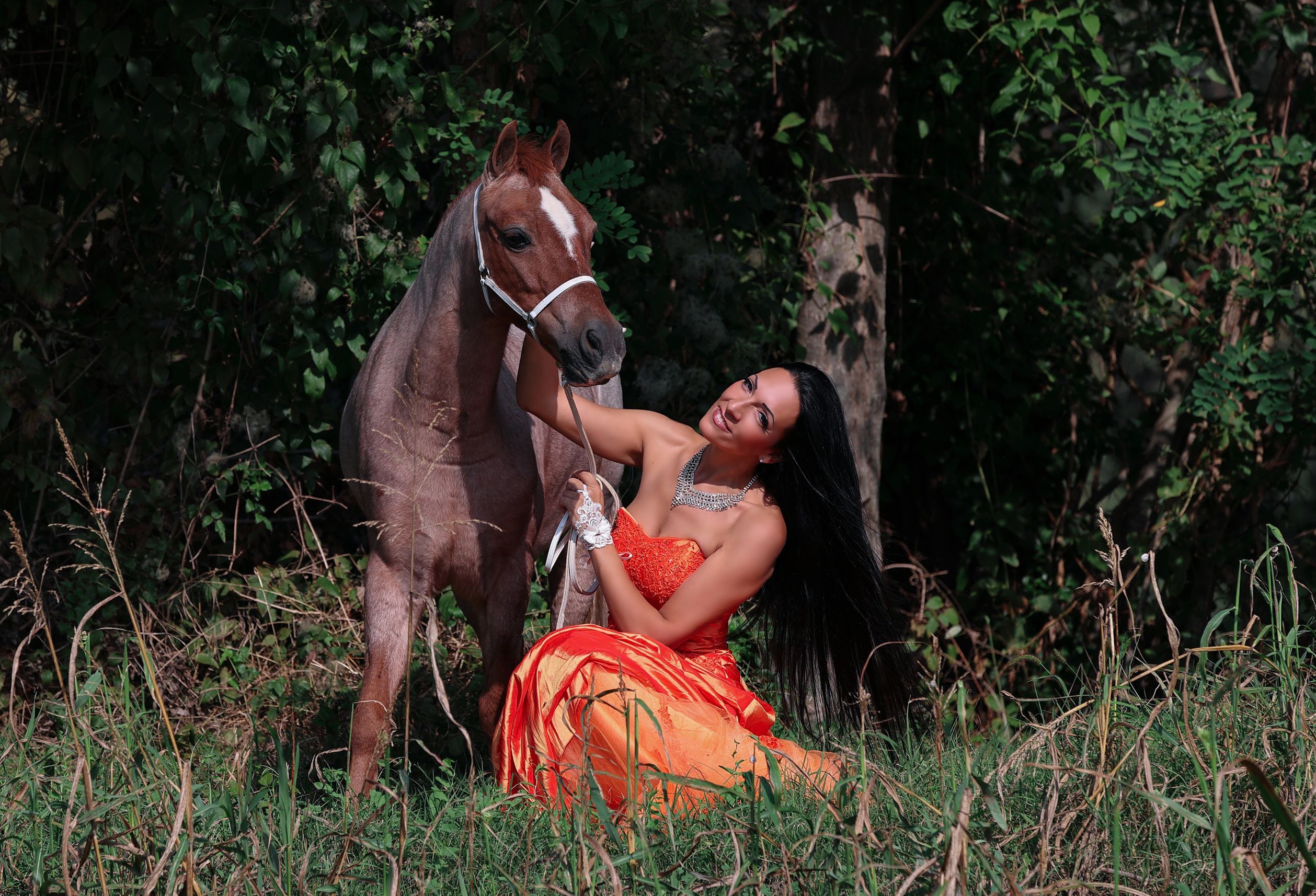 Laura Magic ​Horse S​how gallery 31