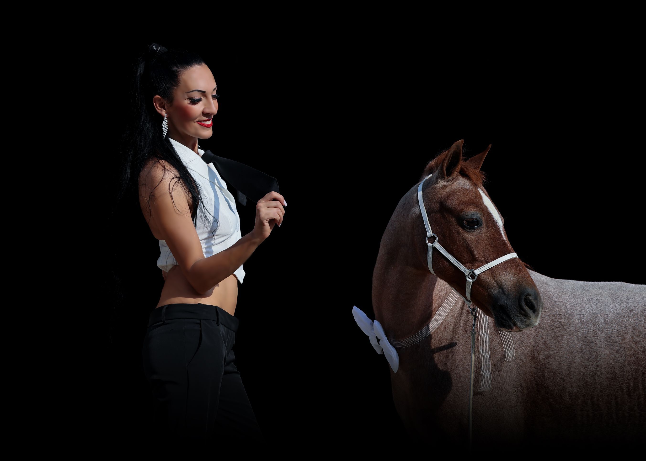 Laura Magic ​Horse S​how gallery 5