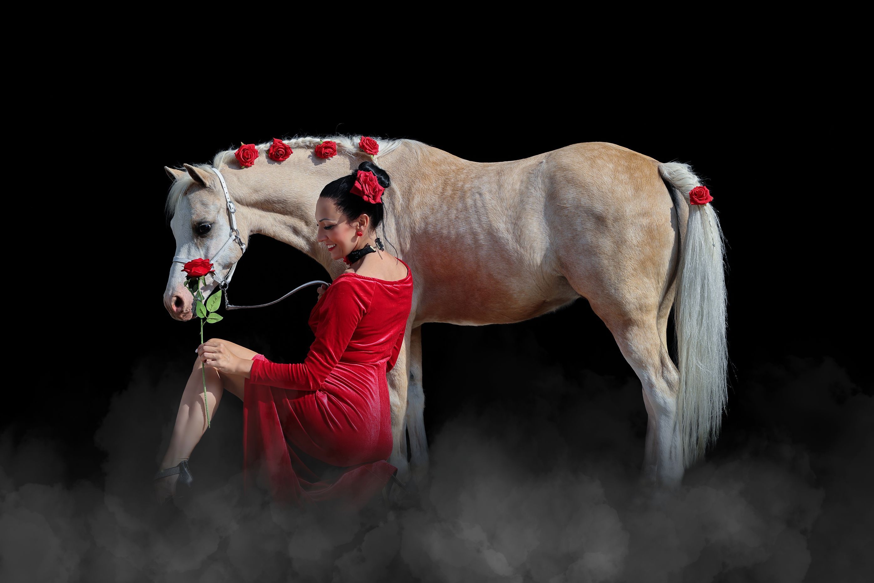 Laura Magic ​Horse S​how gallery 9
