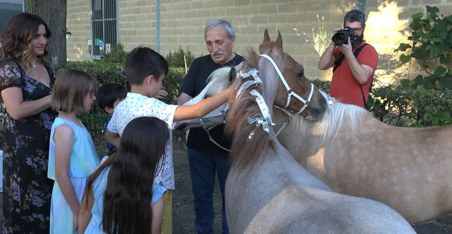 Laura Magic ​Horse S​how 
