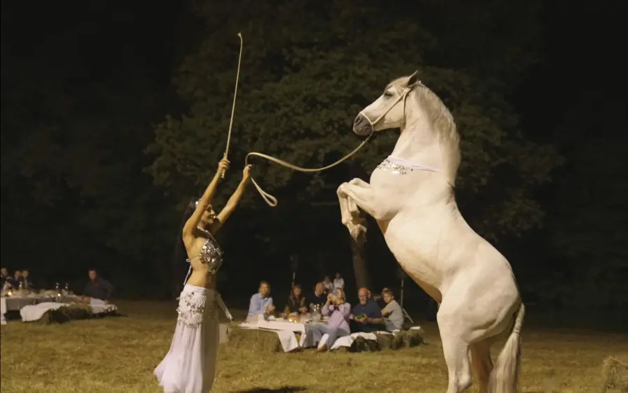 Laura Magic ​Horse S​how 