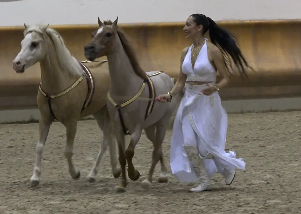 Laura Magic ​Horse S​how spettaco​l​i equestri - pony