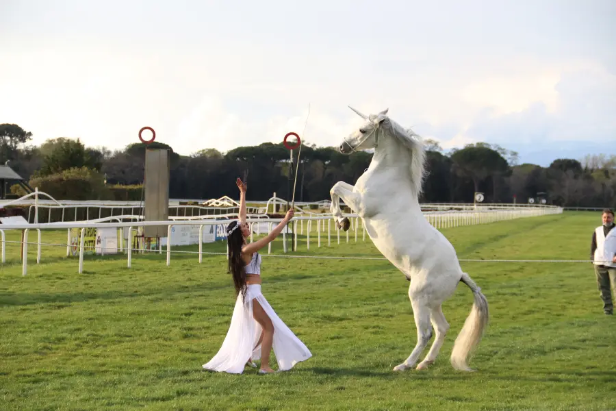 Laura Magic ​Horse S​how 