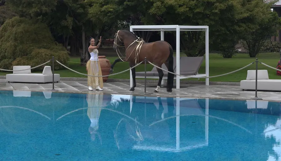 Laura Magic ​Horse S​how 